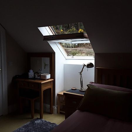 Forest View Woodland Lodge Ballard Экстерьер фото